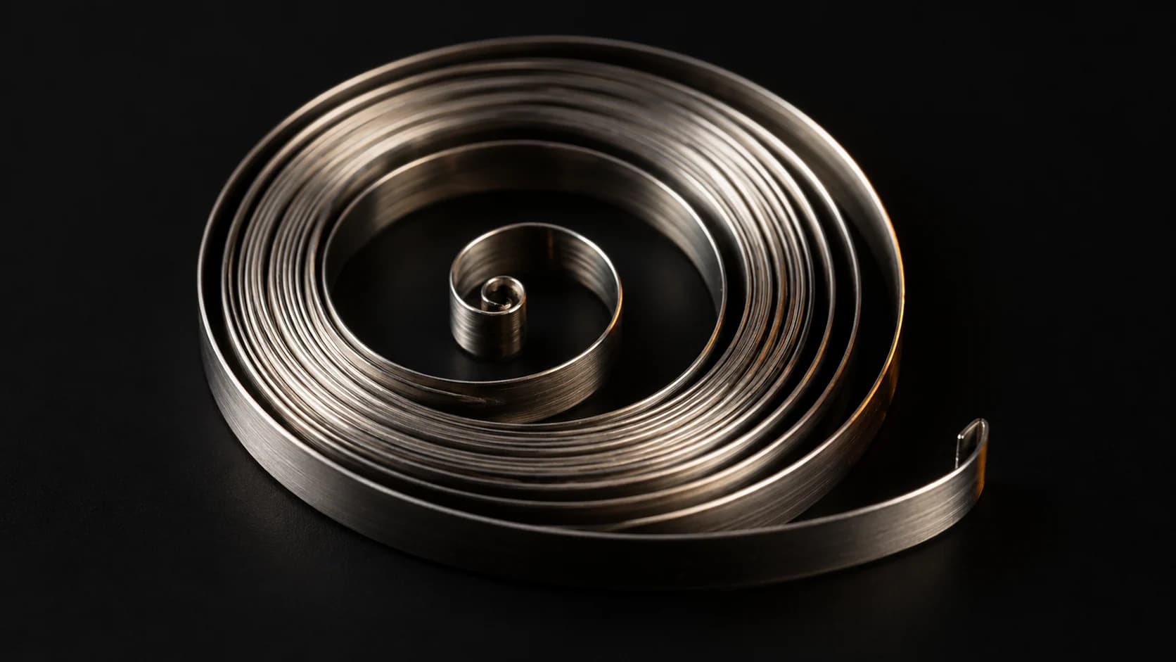 Coiled stainless watch mainspring under soft studio light.